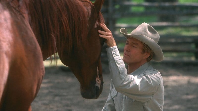 cuando yo susurré a un caballo