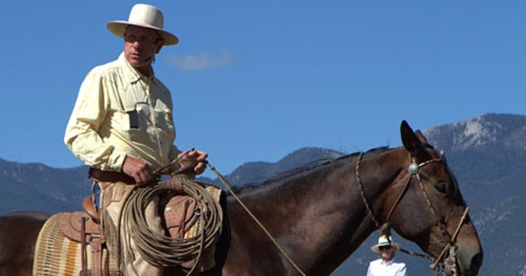 cuando yo susurré a un caballo2